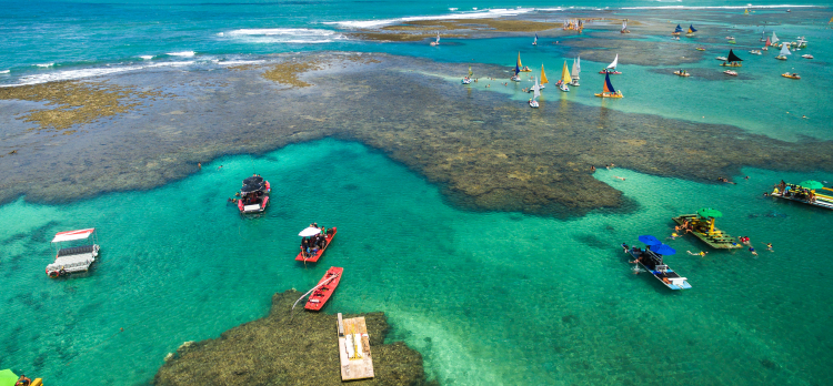 Porto de Galinhas - Agosto y Septiembre